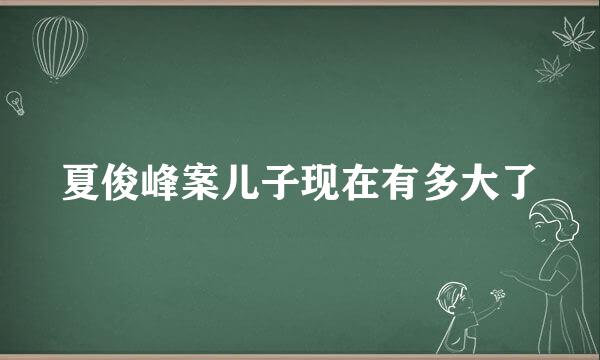 夏俊峰案儿子现在有多大了