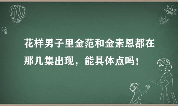 花样男子里金范和金素恩都在那几集出现，能具体点吗！