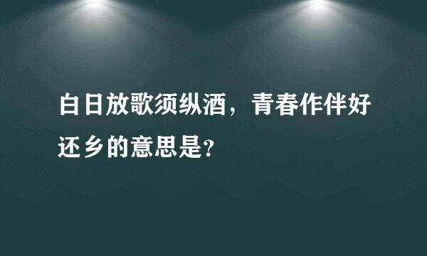 白日放歌须纵酒，青春作伴好还乡的意思是？