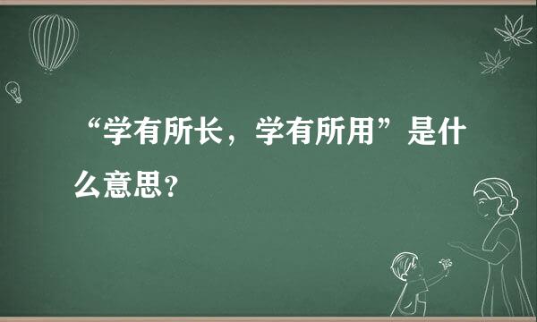 “学有所长，学有所用”是什么意思？