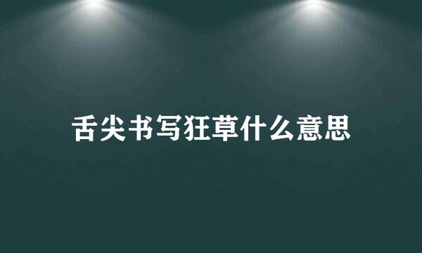 舌尖书写狂草什么意思