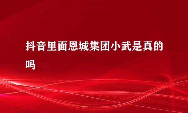 抖音里面恩城集团小武是真的吗