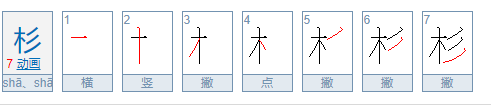 杉组词有哪些词语