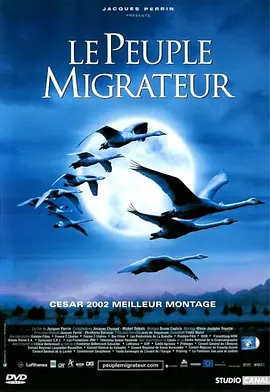 《迁徙的鸟》免费在线观看完整版高清,求百度网盘资源