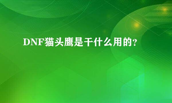 DNF猫头鹰是干什么用的？