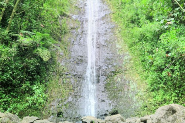 檀香山在哪里