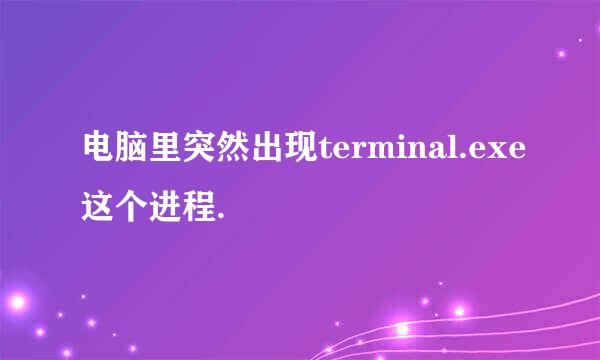 电脑里突然出现terminal.exe这个进程.