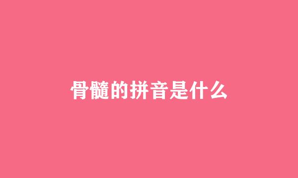 骨髓的拼音是什么