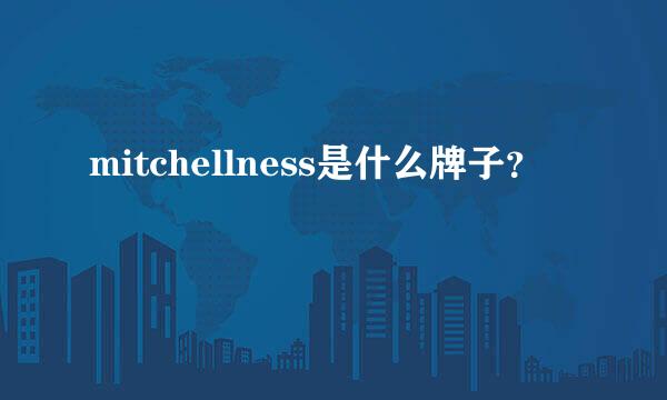 mitchellness是什么牌子？