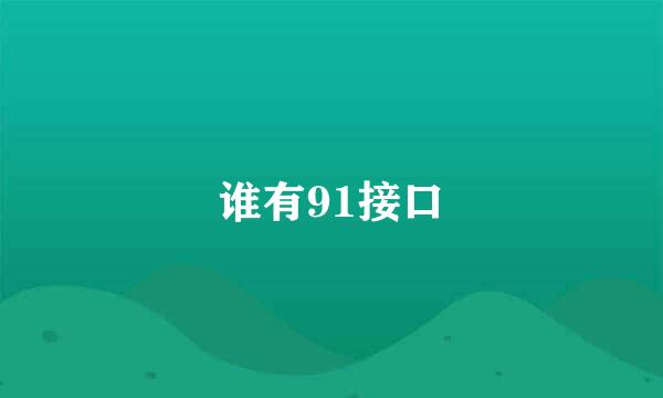 谁有91接口