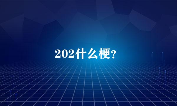 202什么梗？