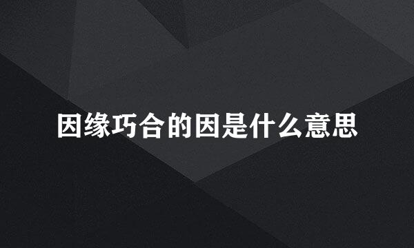 因缘巧合的因是什么意思