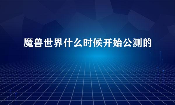 魔兽世界什么时候开始公测的