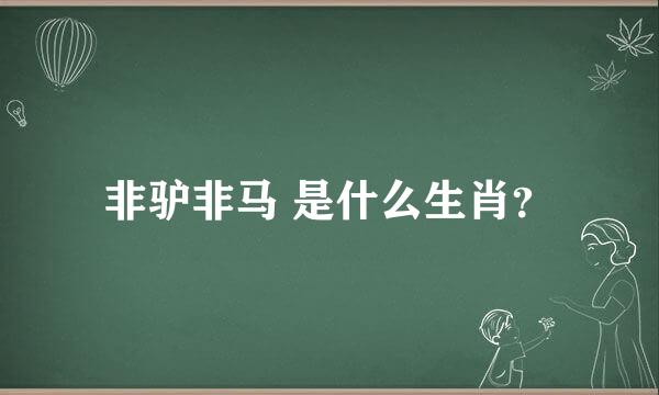 非驴非马 是什么生肖？