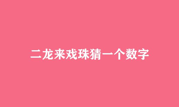 二龙来戏珠猜一个数字