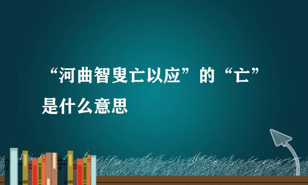 “河曲智叟亡以应”的“亡”是什么意思