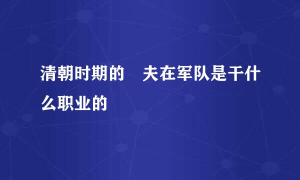 清朝时期的莝夫在军队是干什么职业的