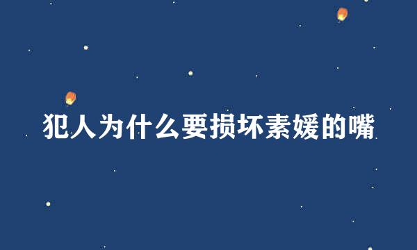 犯人为什么要损坏素媛的嘴