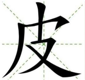 皮字什么结构