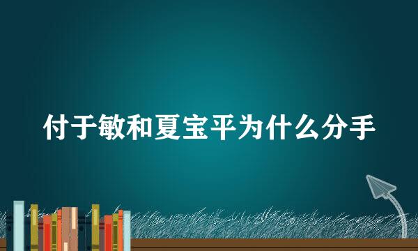 付于敏和夏宝平为什么分手