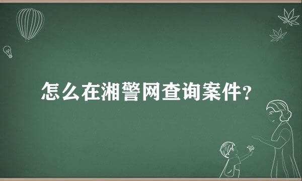 怎么在湘警网查询案件？