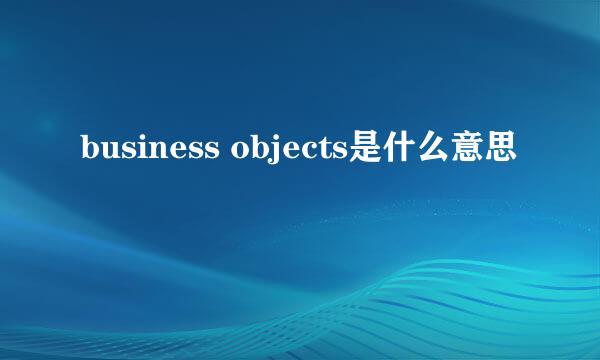 business objects是什么意思