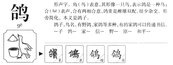 鸽字的组词