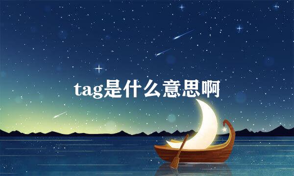 tag是什么意思啊