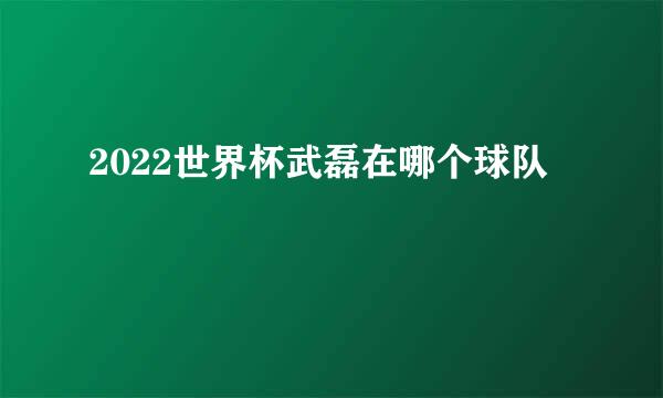 2022世界杯武磊在哪个球队