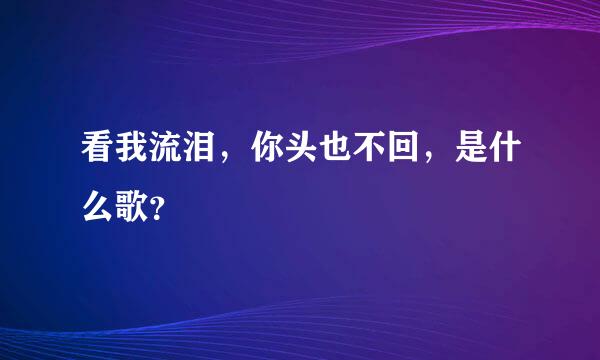 看我流泪，你头也不回，是什么歌？