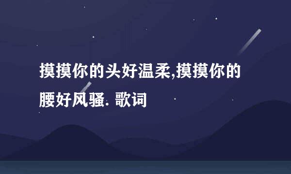 摸摸你的头好温柔,摸摸你的腰好风骚. 歌词