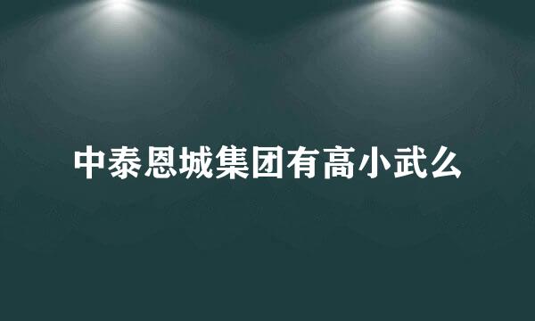 中泰恩城集团有高小武么