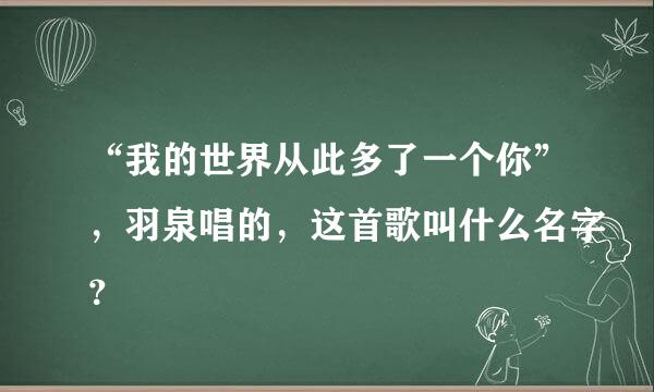 “我的世界从此多了一个你”，羽泉唱的，这首歌叫什么名字？