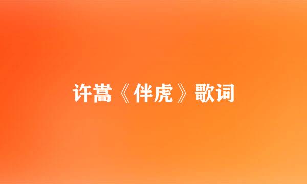 许嵩《伴虎》歌词