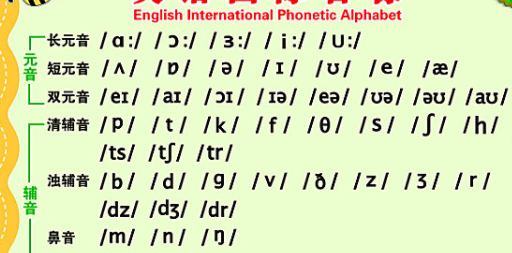 48个音标怎么分类？