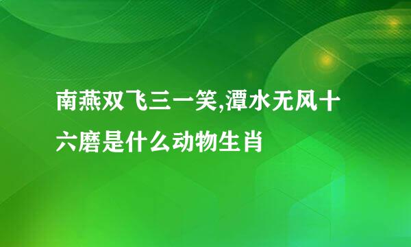 南燕双飞三一笑,潭水无风十六磨是什么动物生肖