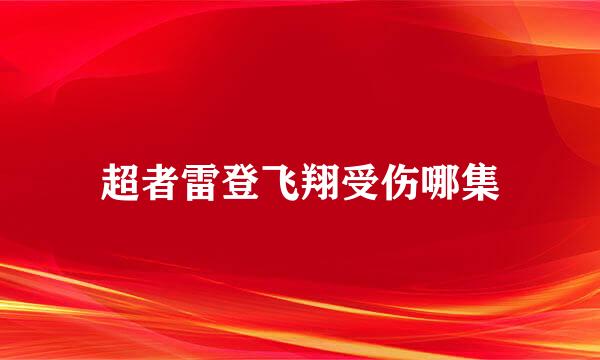 超者雷登飞翔受伤哪集