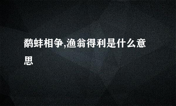 鹬蚌相争,渔翁得利是什么意思