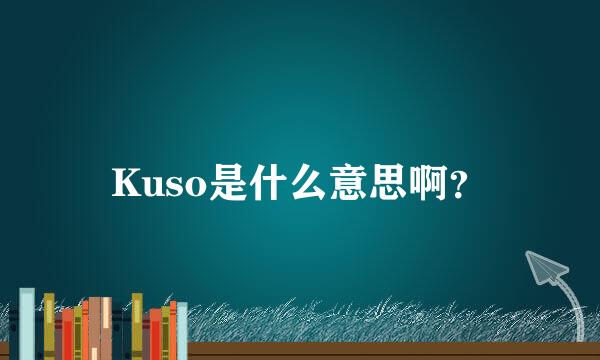 Kuso是什么意思啊？