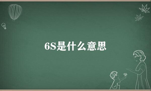 6S是什么意思