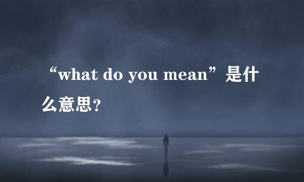 “what do you mean”是什么意思？