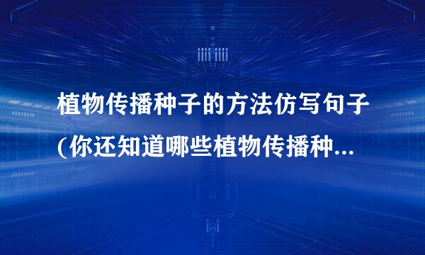 植物传播种子的方法仿写句子(你还知道哪些植物传播种子的方法仿写)