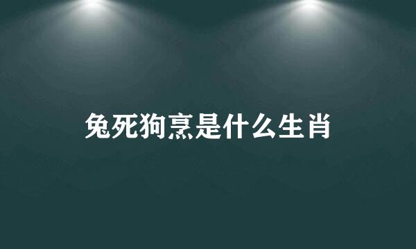 兔死狗烹是什么生肖