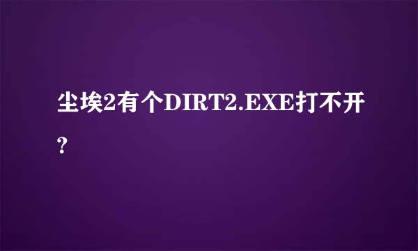 尘埃2有个DIRT2.EXE打不开？