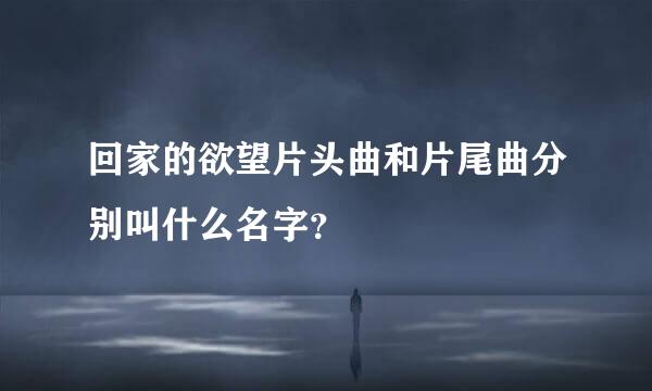 回家的欲望片头曲和片尾曲分别叫什么名字？