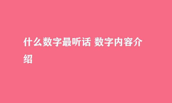 什么数字最听话 数字内容介绍