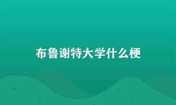 布鲁谢特大学什么梗