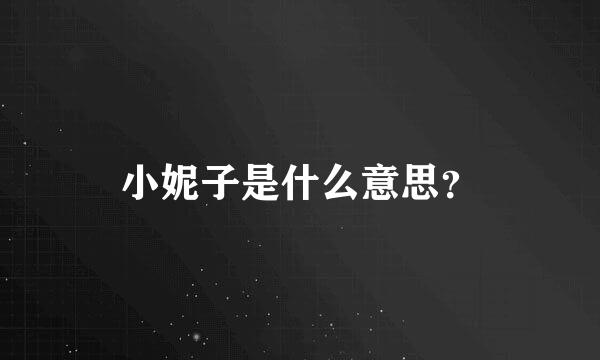 小妮子是什么意思？