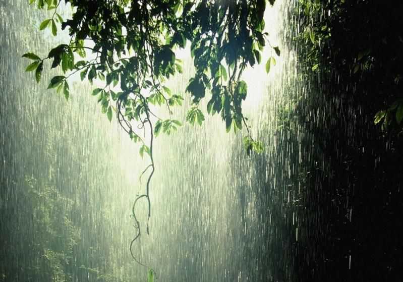 求 小学课文<春雨沙沙> 内容,谢谢!