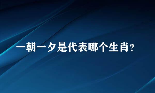 一朝一夕是代表哪个生肖？